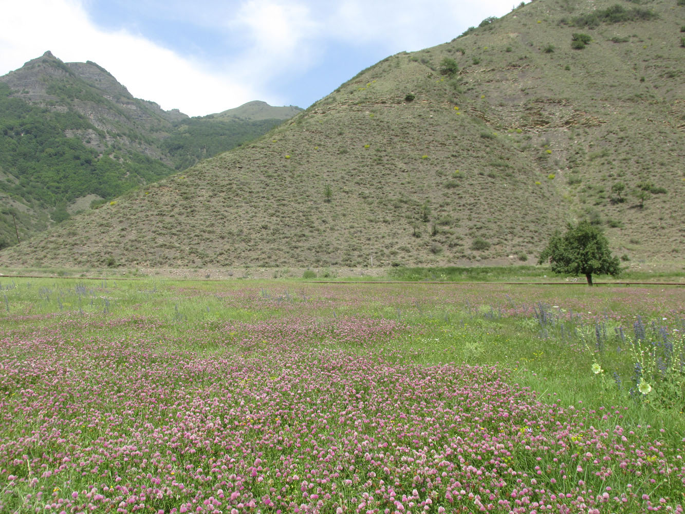 Окрестности села Штул, image of landscape/habitat.