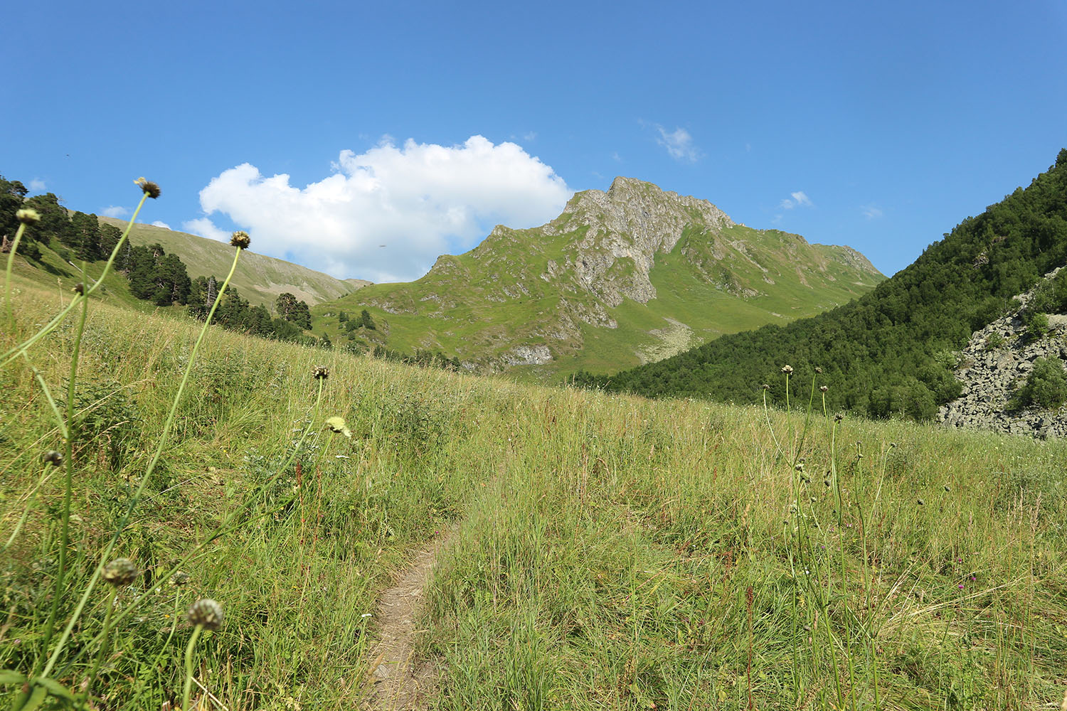 Долина реки Загедан, image of landscape/habitat.