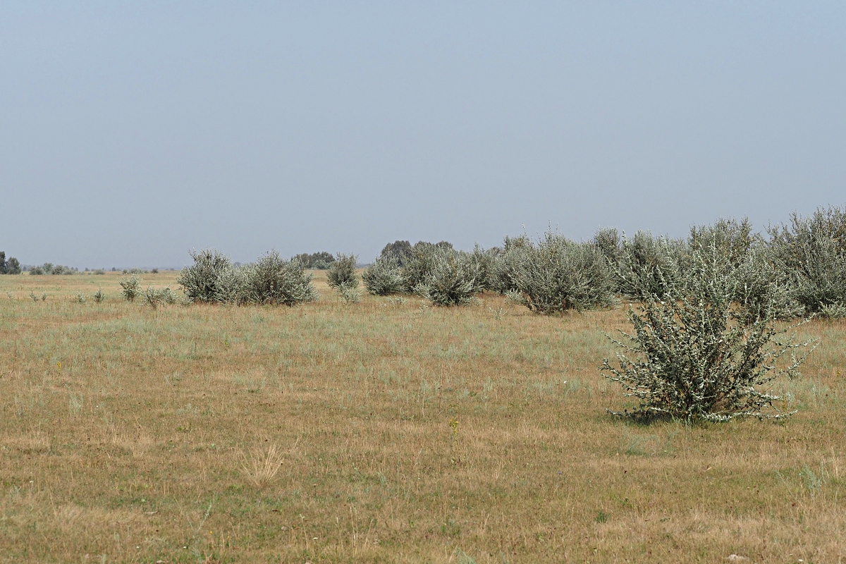 Долины рек Авраль, image of landscape/habitat.
