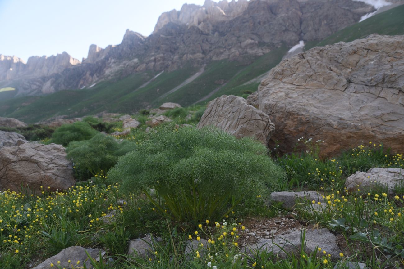 Базовый лагерь, изображение ландшафта.