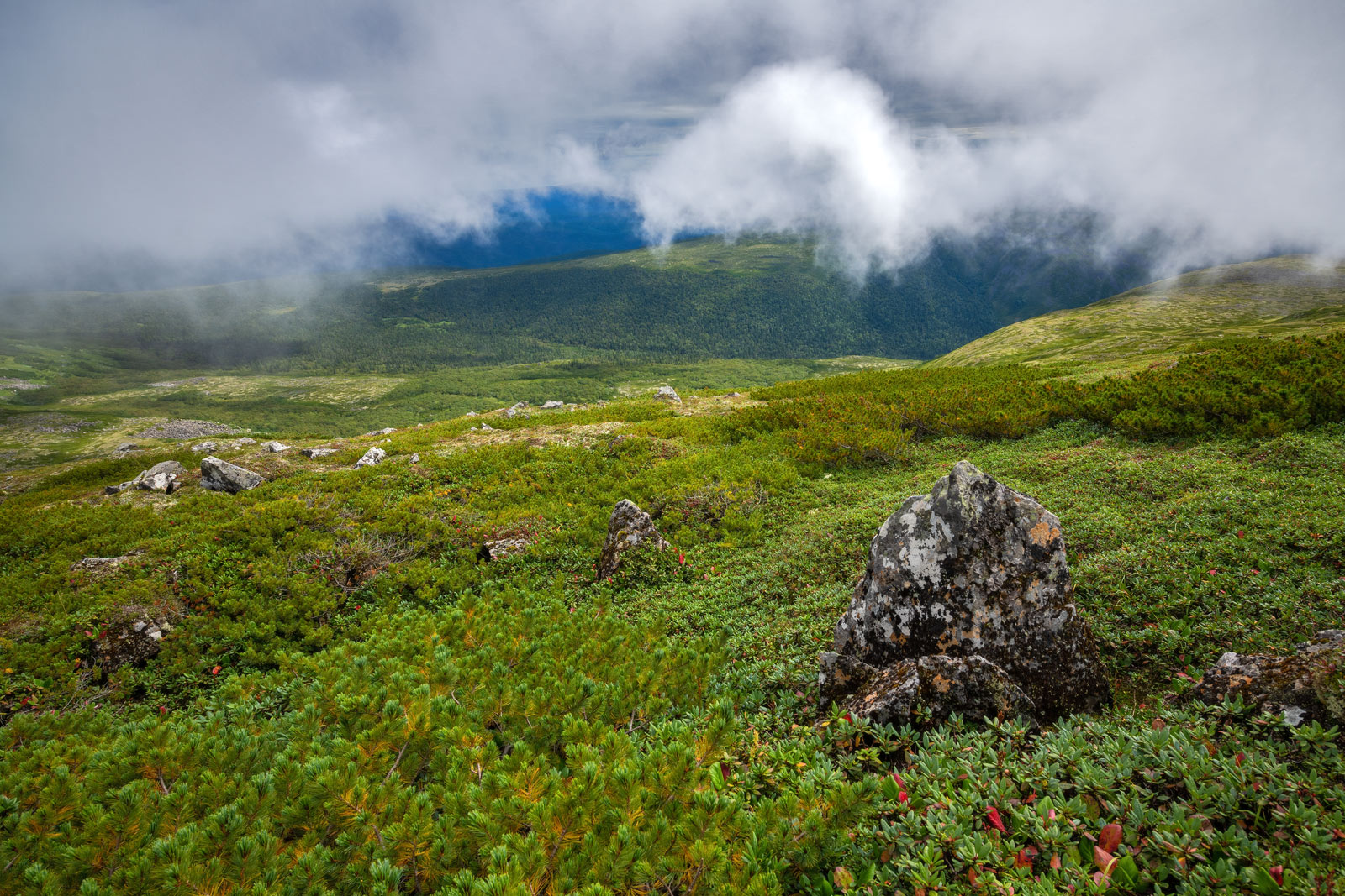 Гора Аник, image of landscape/habitat.