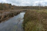 Верховья Оредежа, image of landscape/habitat.