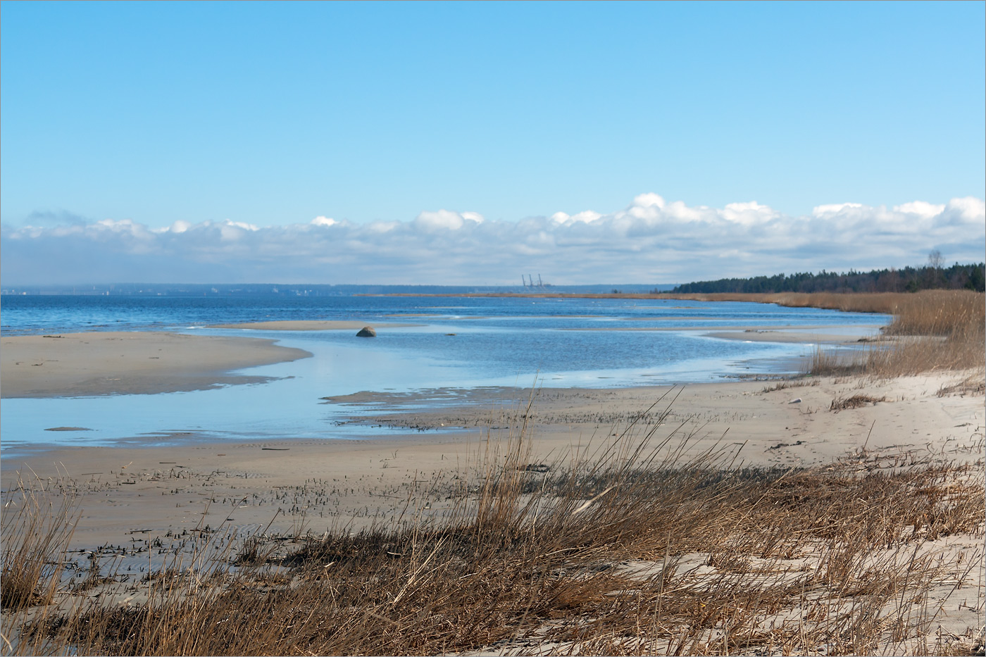 Окрестности деревни Выбье, image of landscape/habitat.