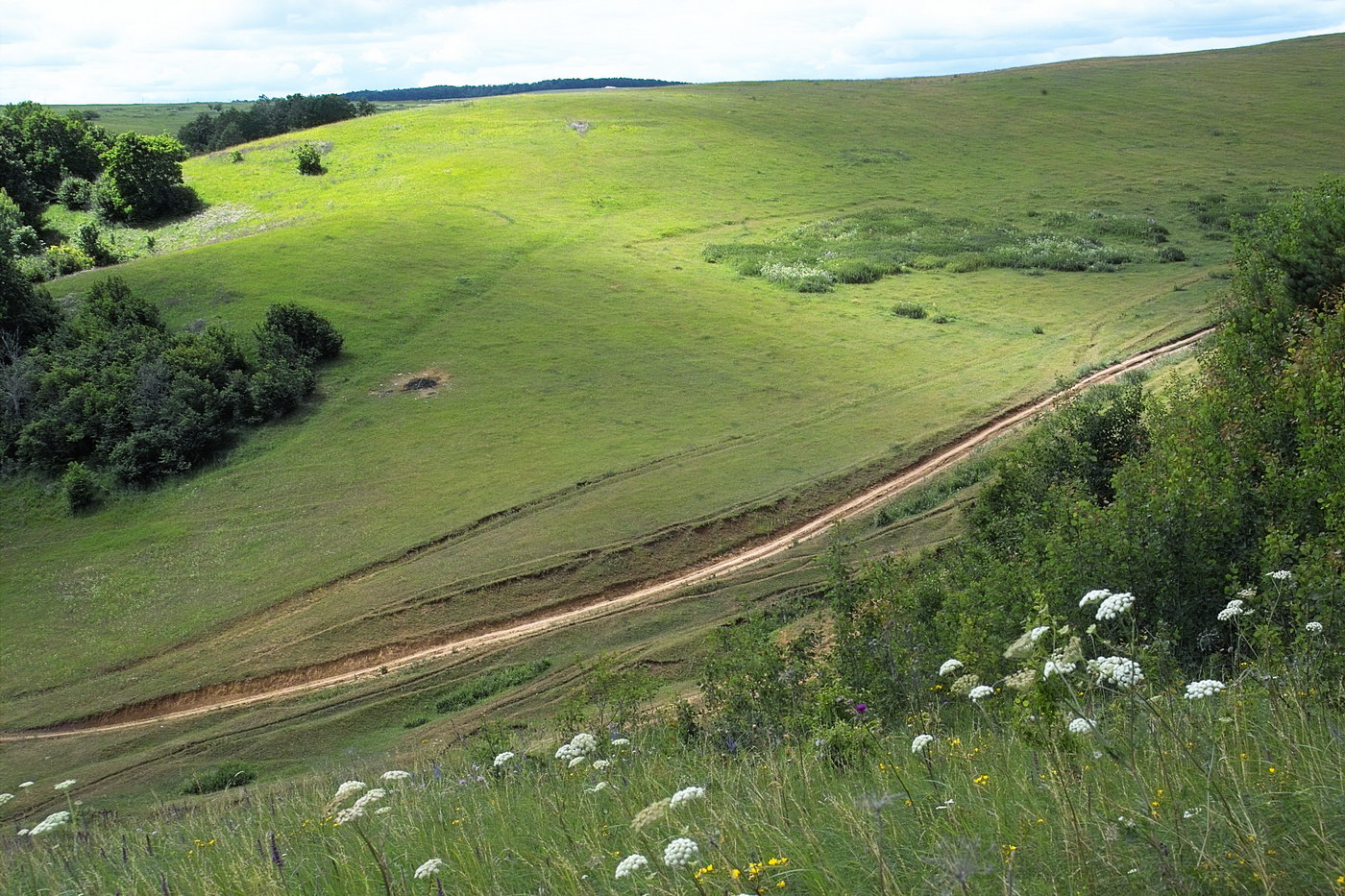 Тенишево, image of landscape/habitat.