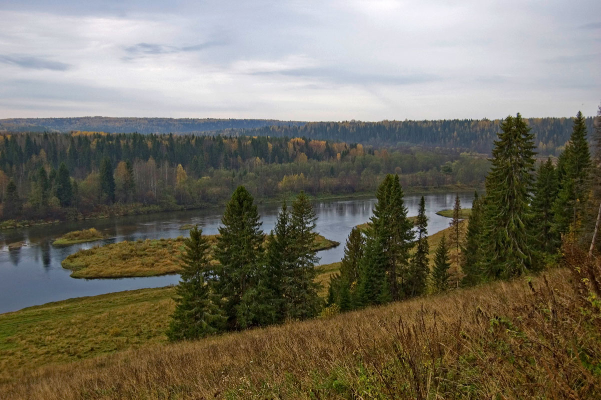 Окрестности села Молёбка, изображение ландшафта.