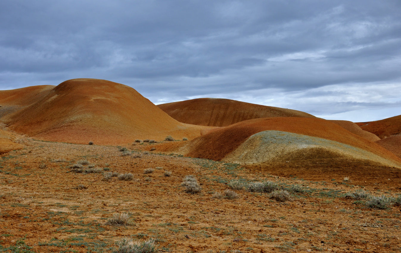 Долина реки Чаган-Узун, image of landscape/habitat.