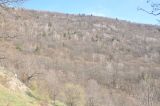 Энтели, image of landscape/habitat.
