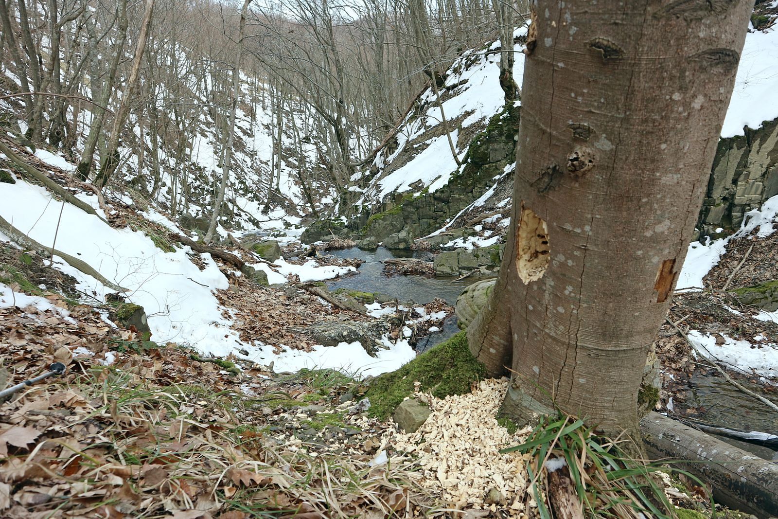 Каскадный ручей, image of landscape/habitat.