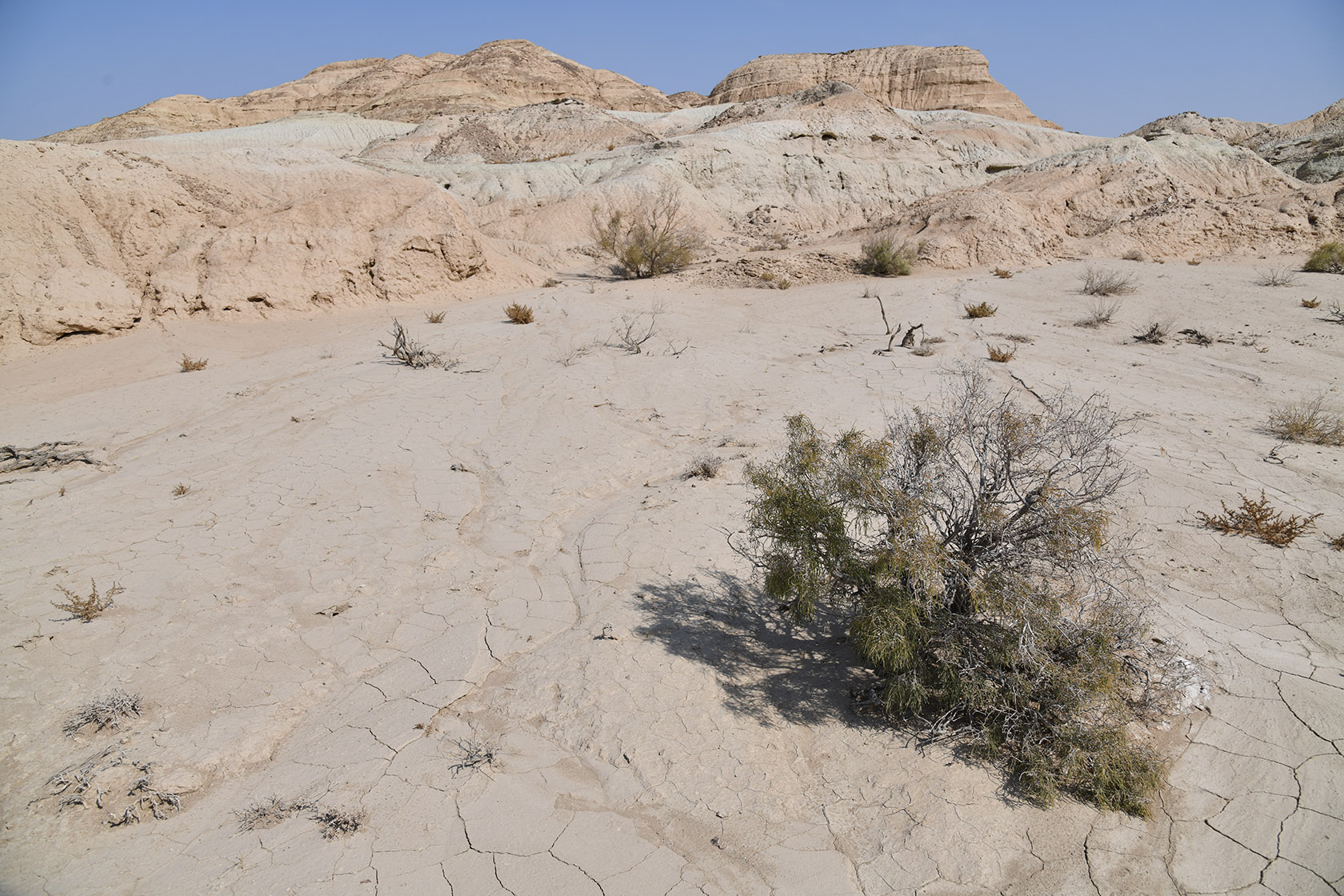 Горы Улькен-Богуты, image of landscape/habitat.