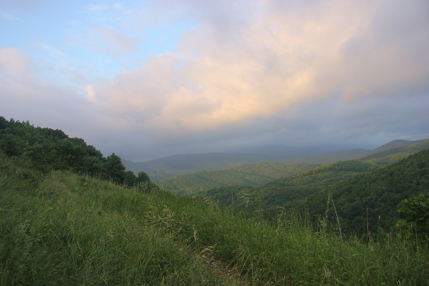 Гора Лысая-Новороссийская, image of landscape/habitat.