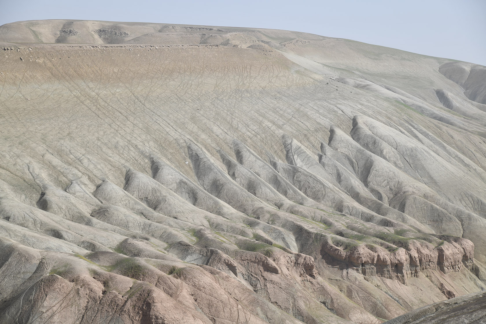 Перевал Дандан-Чикан, image of landscape/habitat.