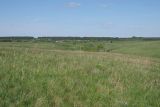 Image of landscape