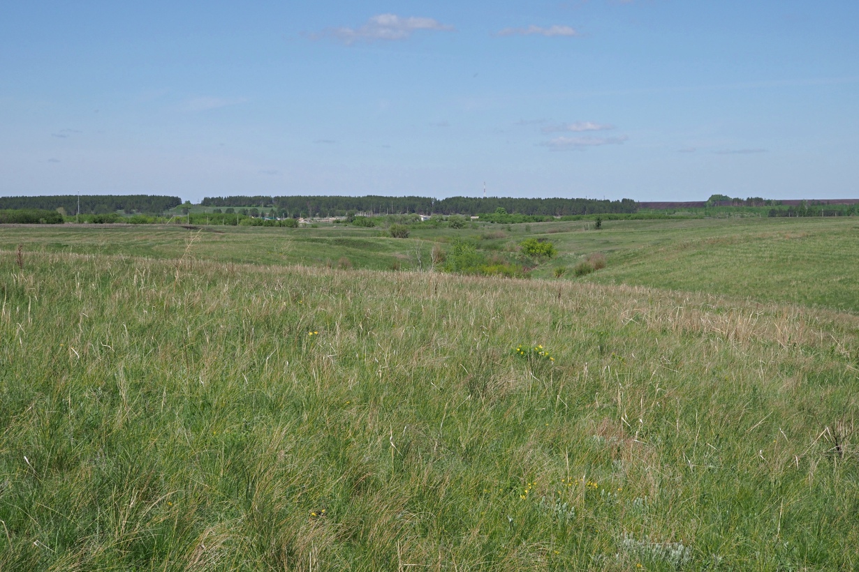 Долина реки Бирля и окрестности, image of landscape/habitat.