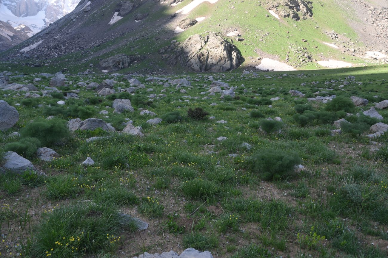 Базовый лагерь, изображение ландшафта.