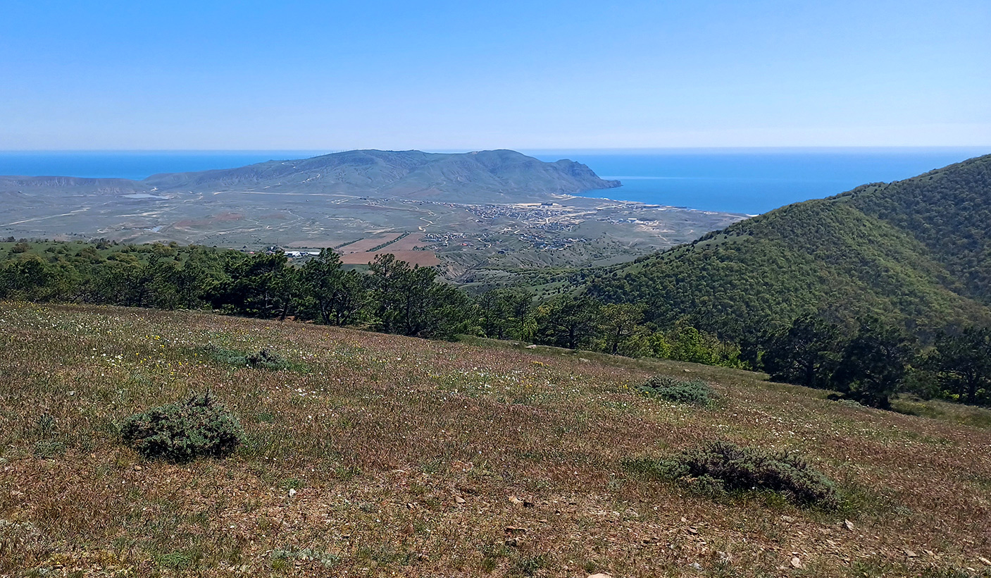 Хребет Токлук-Сырт, image of landscape/habitat.