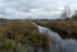 Верховья Оредежа, image of landscape/habitat.