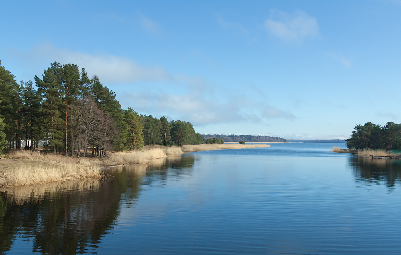 Озеро Липовское, изображение ландшафта.