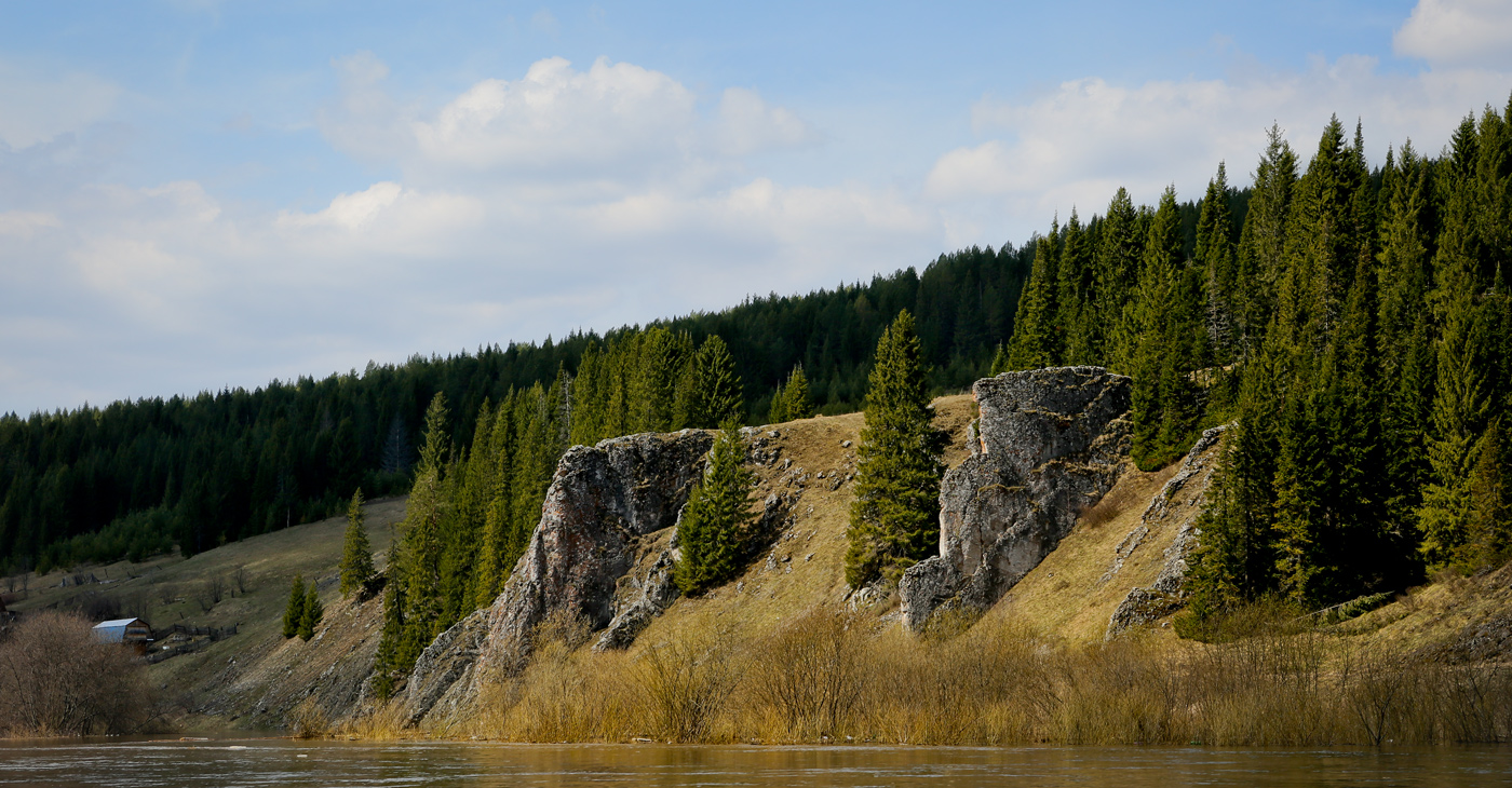 Кын и его окрестности, image of landscape/habitat.