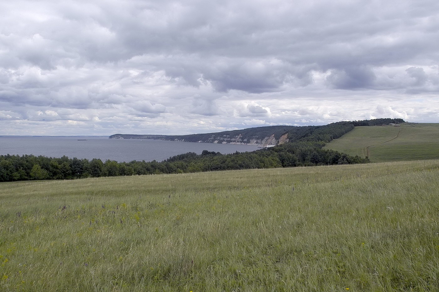 Тенишево, image of landscape/habitat.