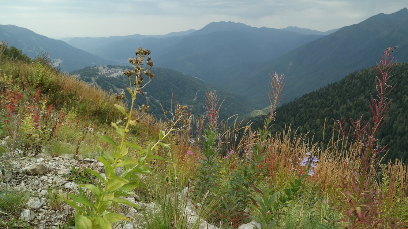 Хребет Бзерпи, image of landscape/habitat.