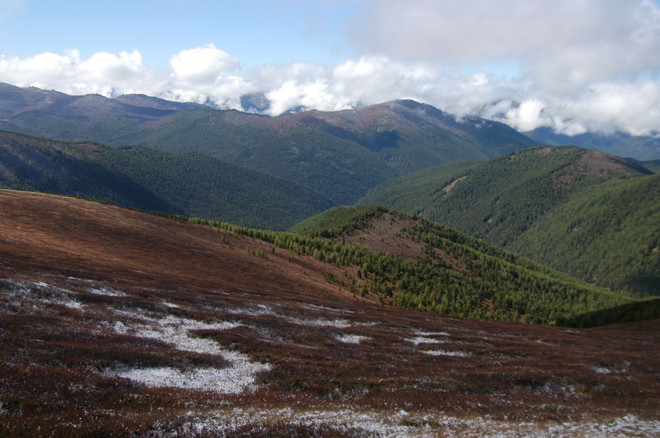 Водораздел р. Аккем и р. Аргут, image of landscape/habitat.