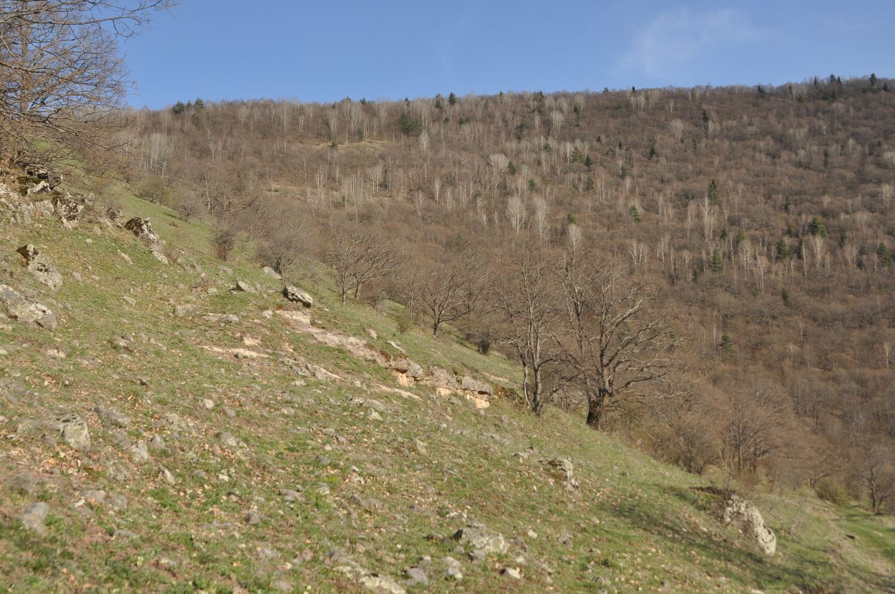 Окрестности монастыря Агара, изображение ландшафта.