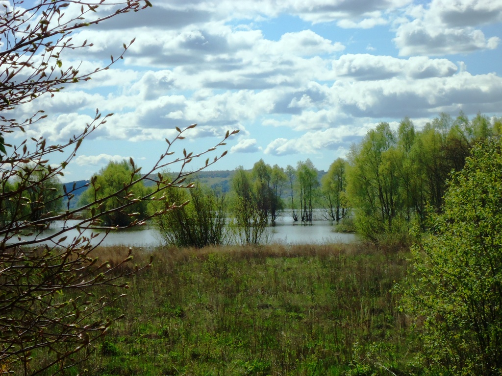 Солдыбаево, image of landscape/habitat.