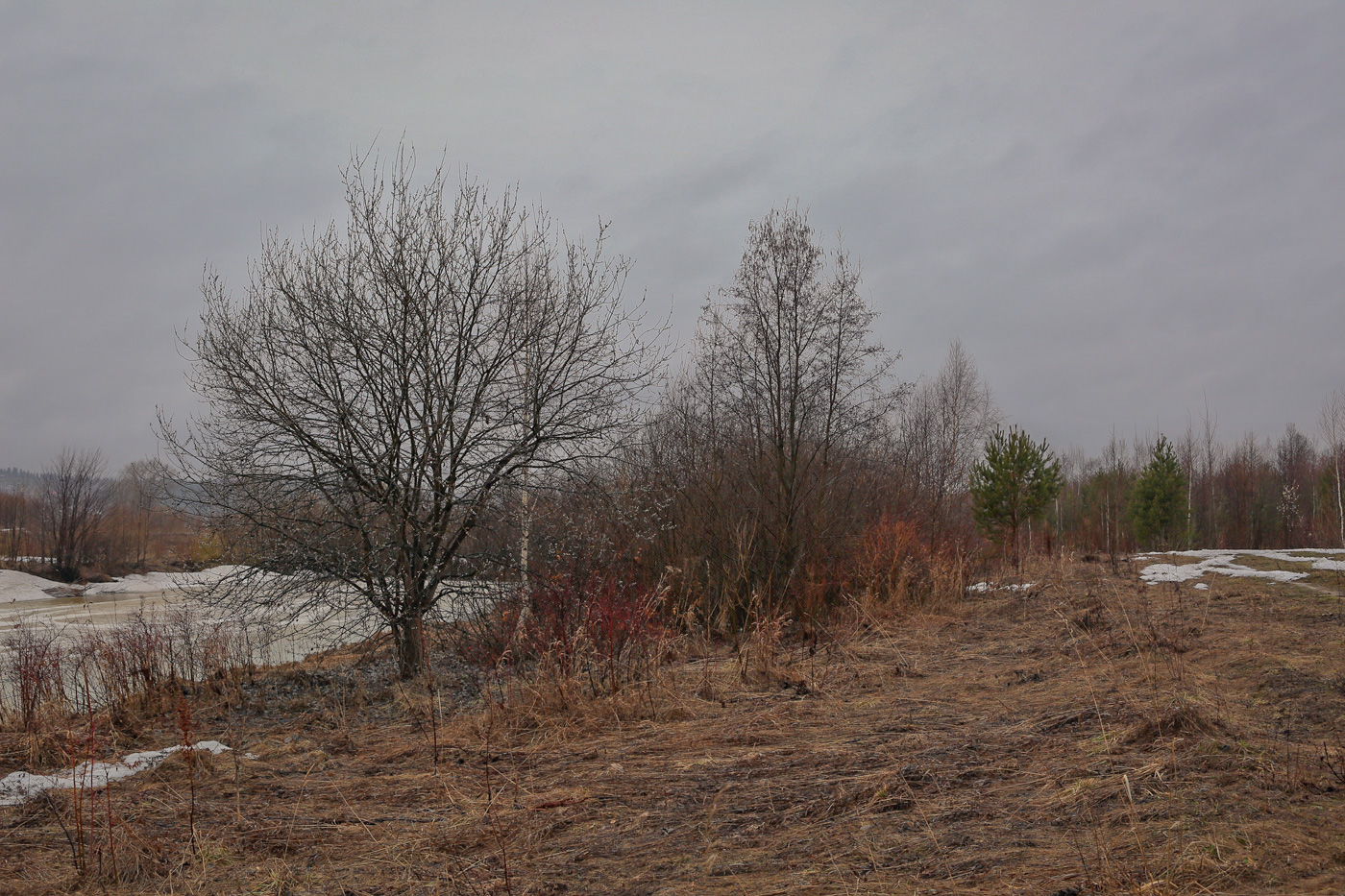 Закамск, image of landscape/habitat.