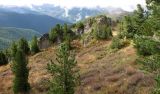Image of landscape