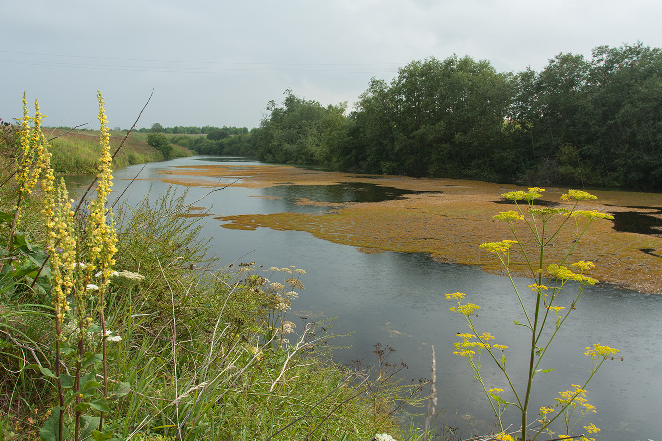 Окрестности Глядино, image of landscape/habitat.