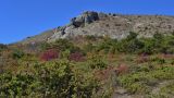 Перчем, image of landscape/habitat.