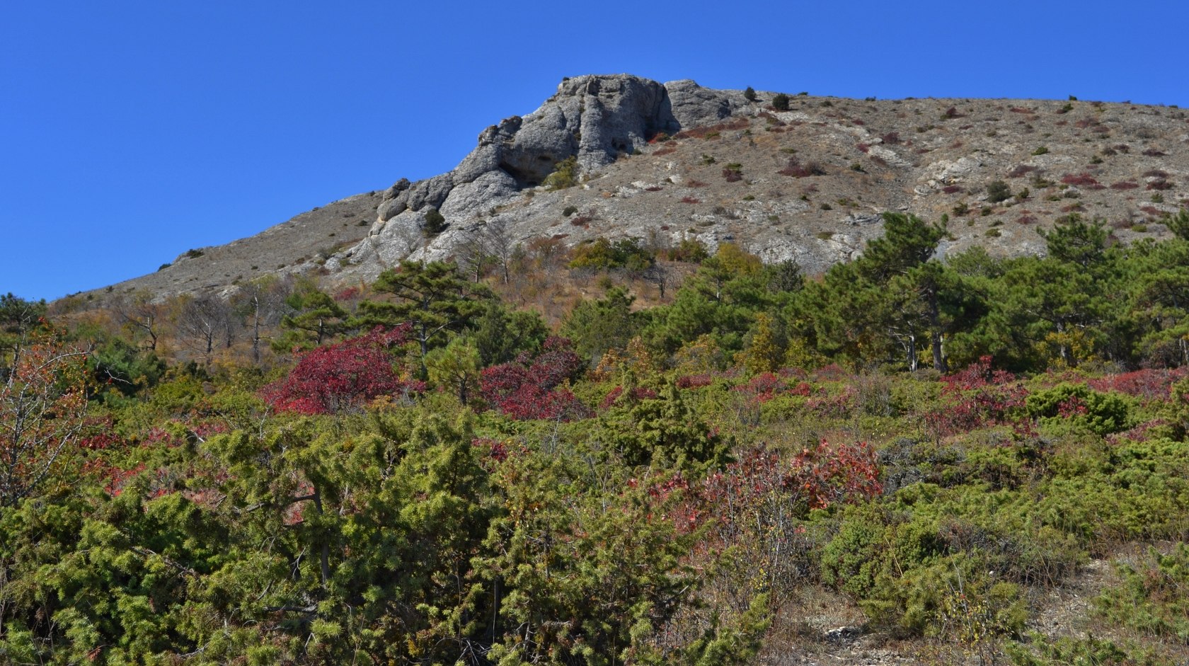 Перчем, image of landscape/habitat.