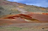 Долина реки Чаган-Узун, image of landscape/habitat.