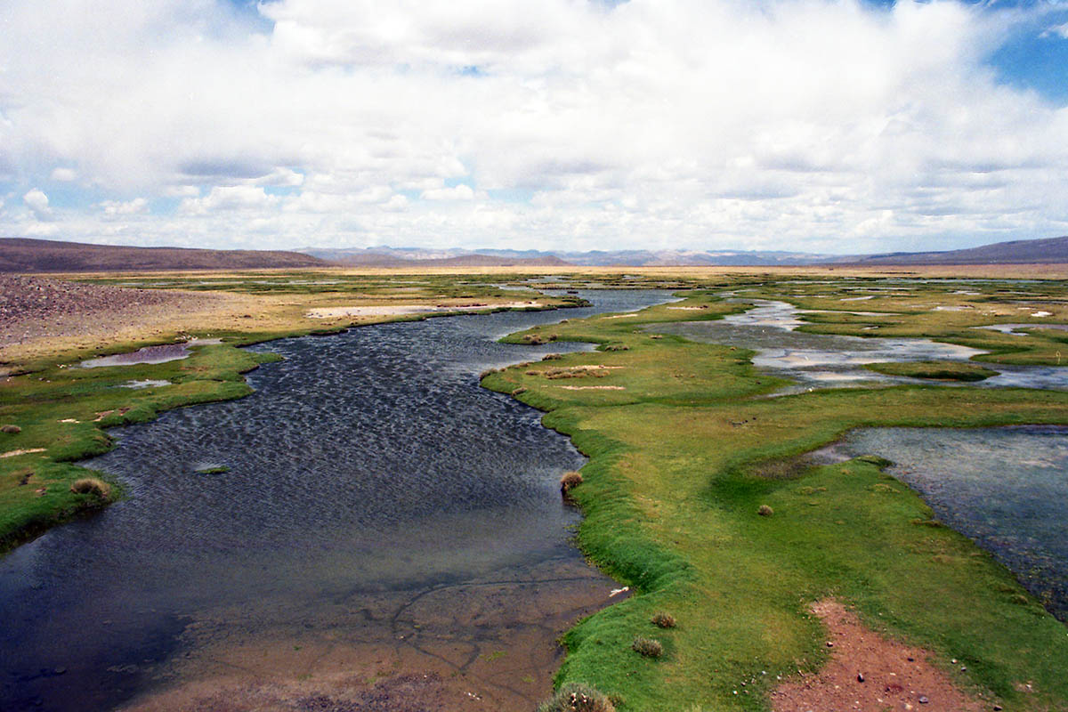 Окрестности вулкана Чачани, image of landscape/habitat.