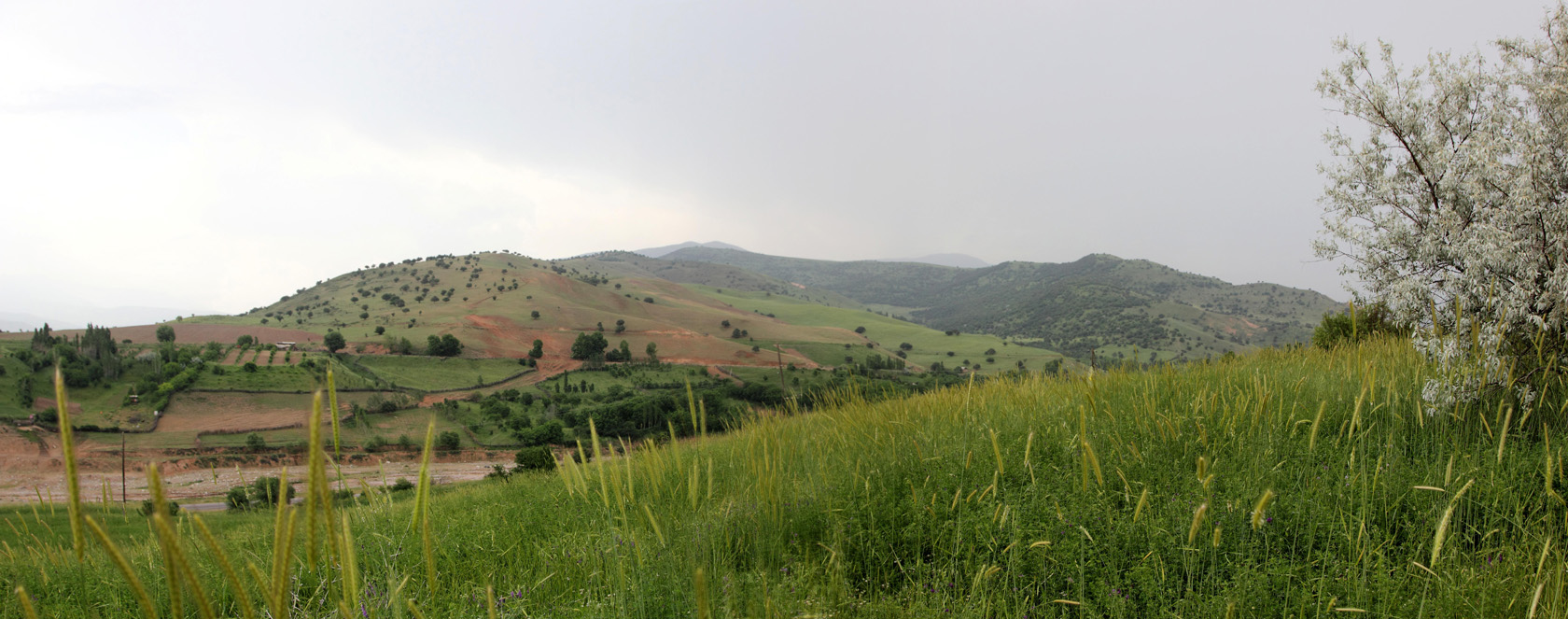 Окрестности города Газалкент, image of landscape/habitat.