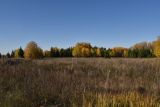 Урочище Сынково и окрестности, image of landscape/habitat.