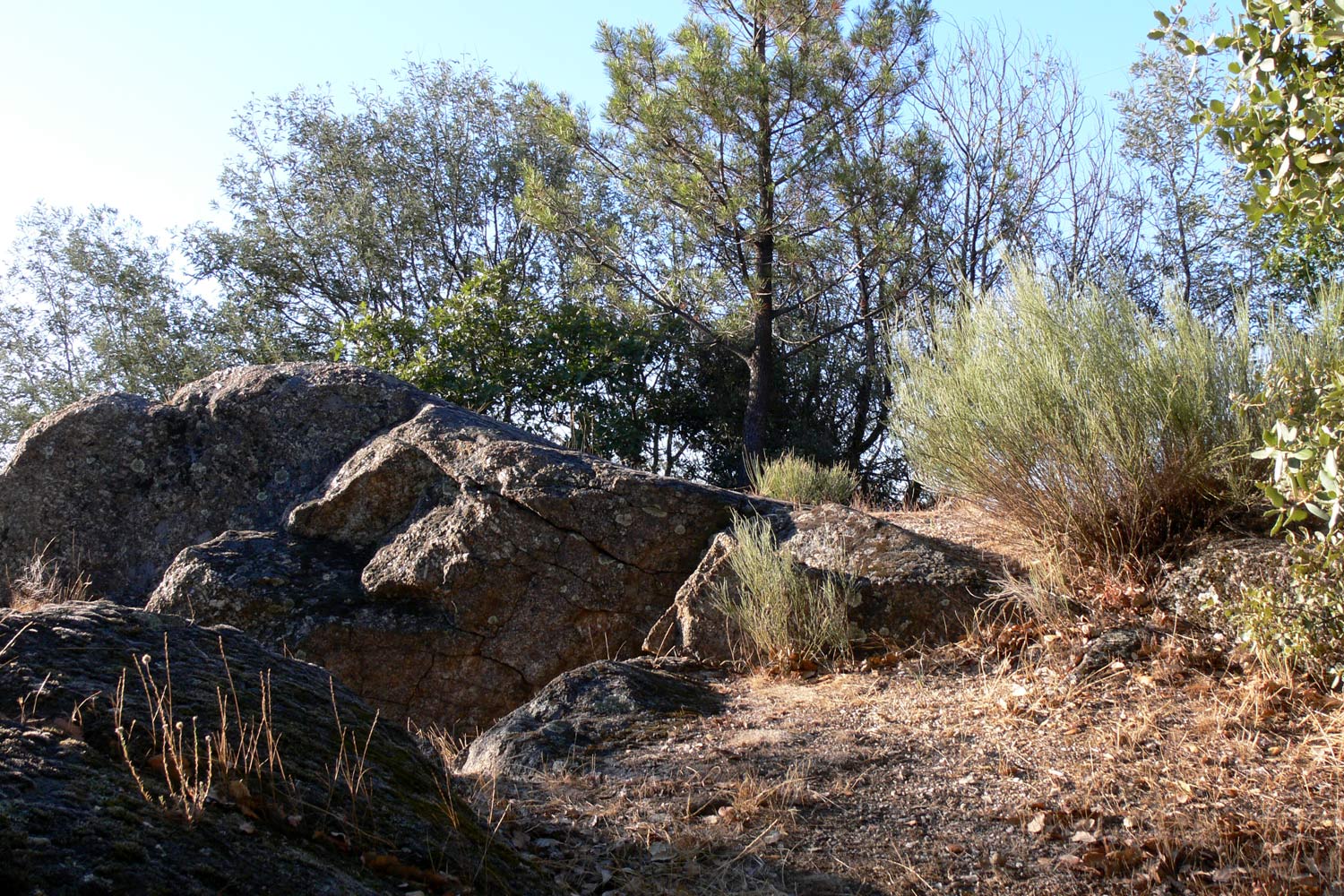 Ратоейра, image of landscape/habitat.