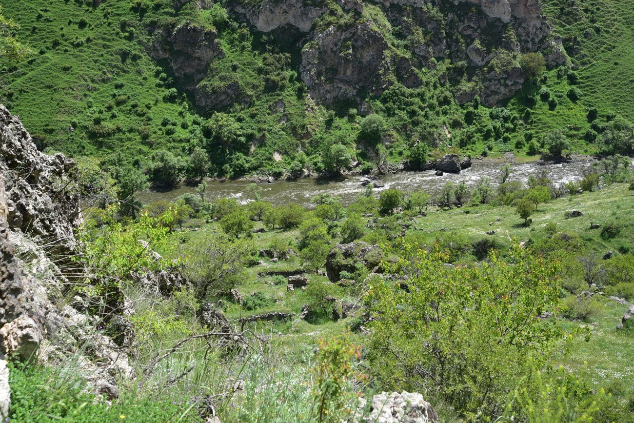 Брошенное курдское селение, image of landscape/habitat.