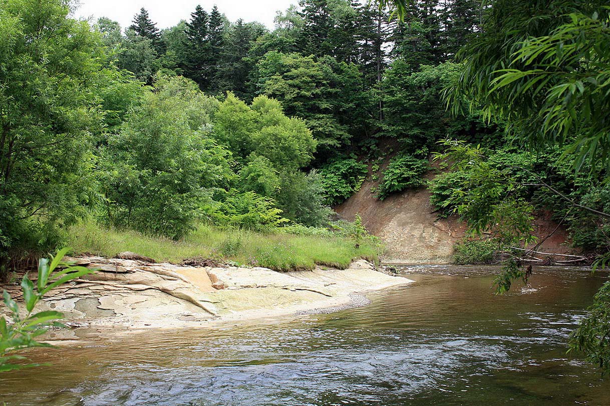 Холмск, image of landscape/habitat.