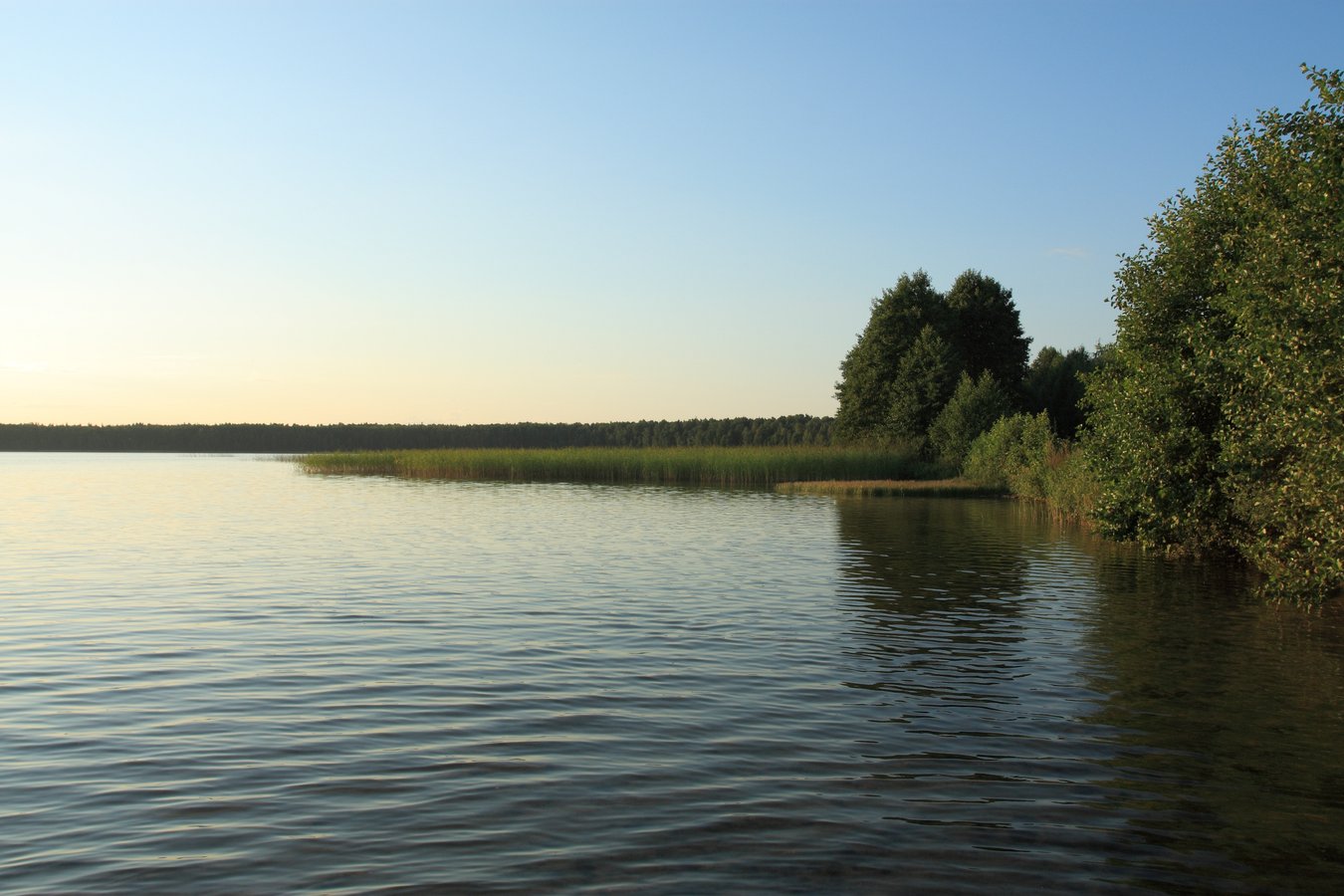 Сурмино, изображение ландшафта.