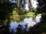 Image of landscape
