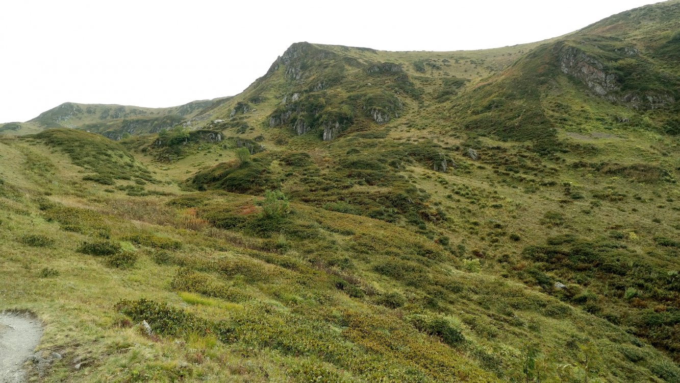 Хребет Бзерпи, image of landscape/habitat.