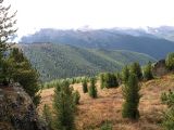 Image of landscape