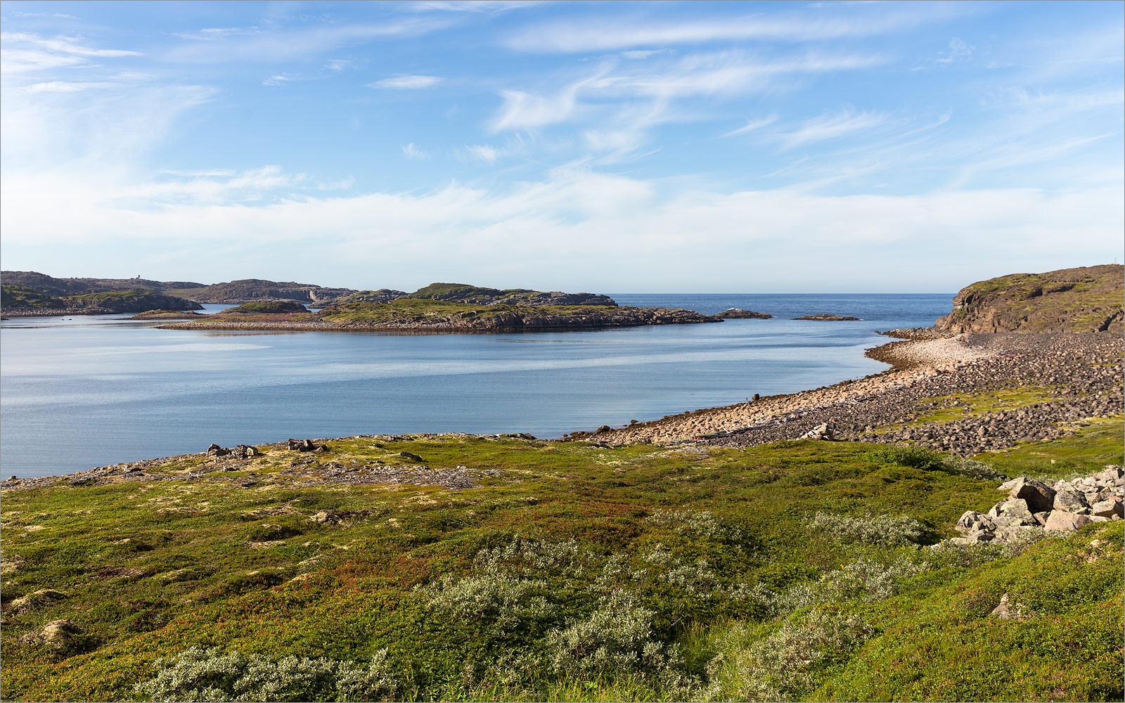 Дальние Зеленцы, image of landscape/habitat.