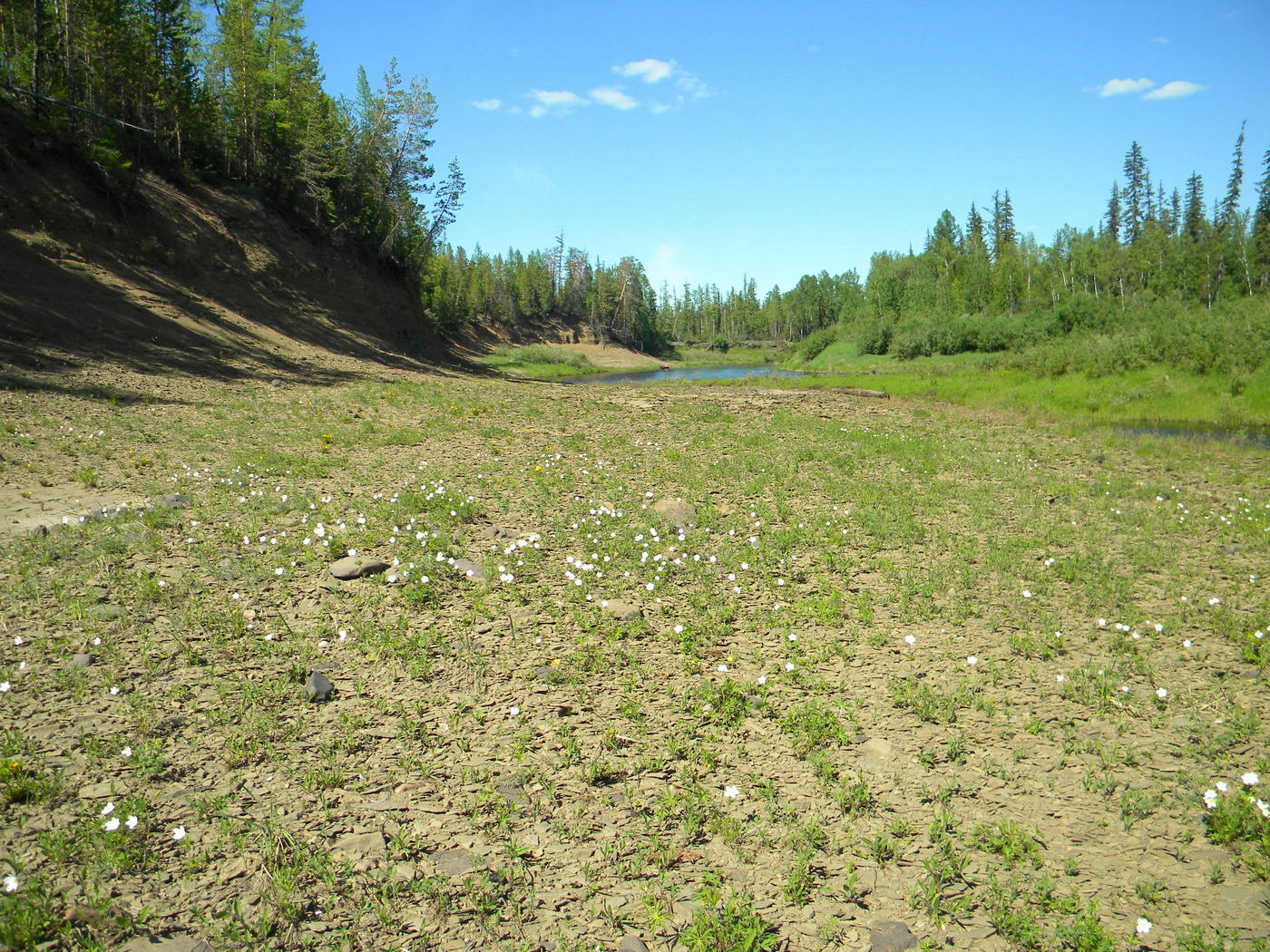 Баркулиха, image of landscape/habitat.