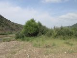 Image of landscape