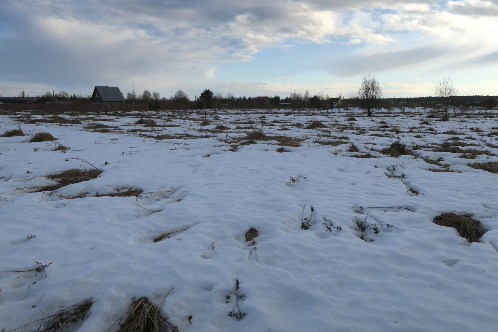 Ерденево, image of landscape/habitat.