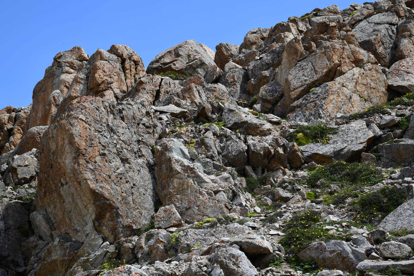 Космостанция, image of landscape/habitat.
