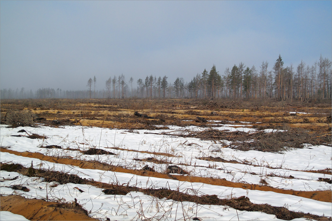 Нижняя Луга, image of landscape/habitat.