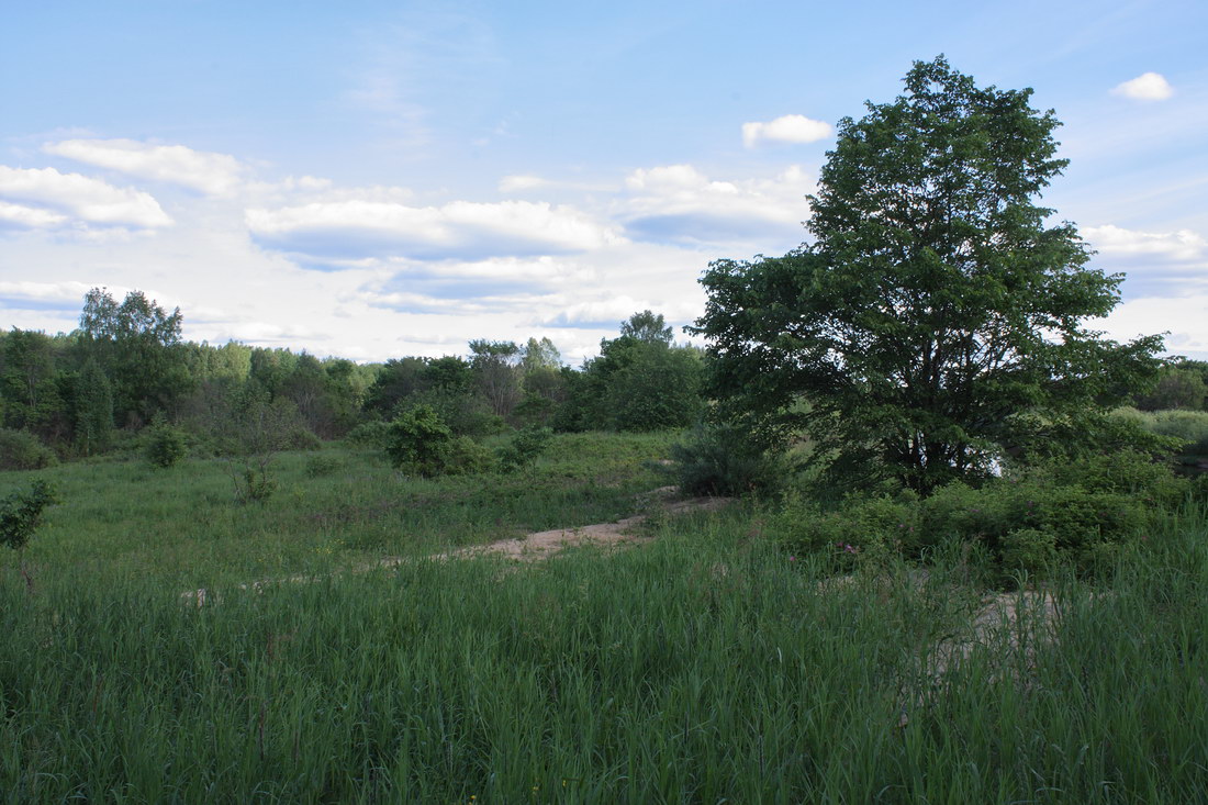 Окрестности Кемки, image of landscape/habitat.